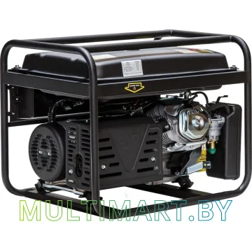 Бензиновый генератор ECO PE-7001RS Black Edition (EC1566-2) картинка 8